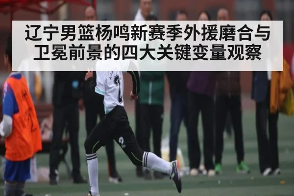 辽宁男篮杨鸣新赛季外援磨合与卫冕前景的四大关键变量观察