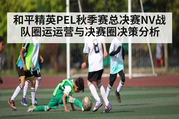 和平精英PEL秋季赛总决赛NV战队圈运运营与决赛圈决策分析 | kaiyun