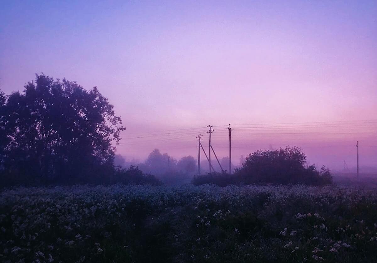 kaiyun-开拓者力擒森林狼取3连胜 格兰特关键三分+罚球